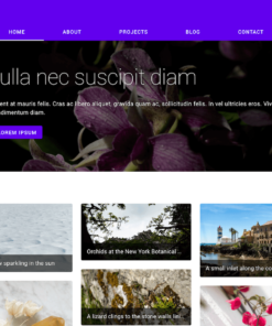 Material Design Google
